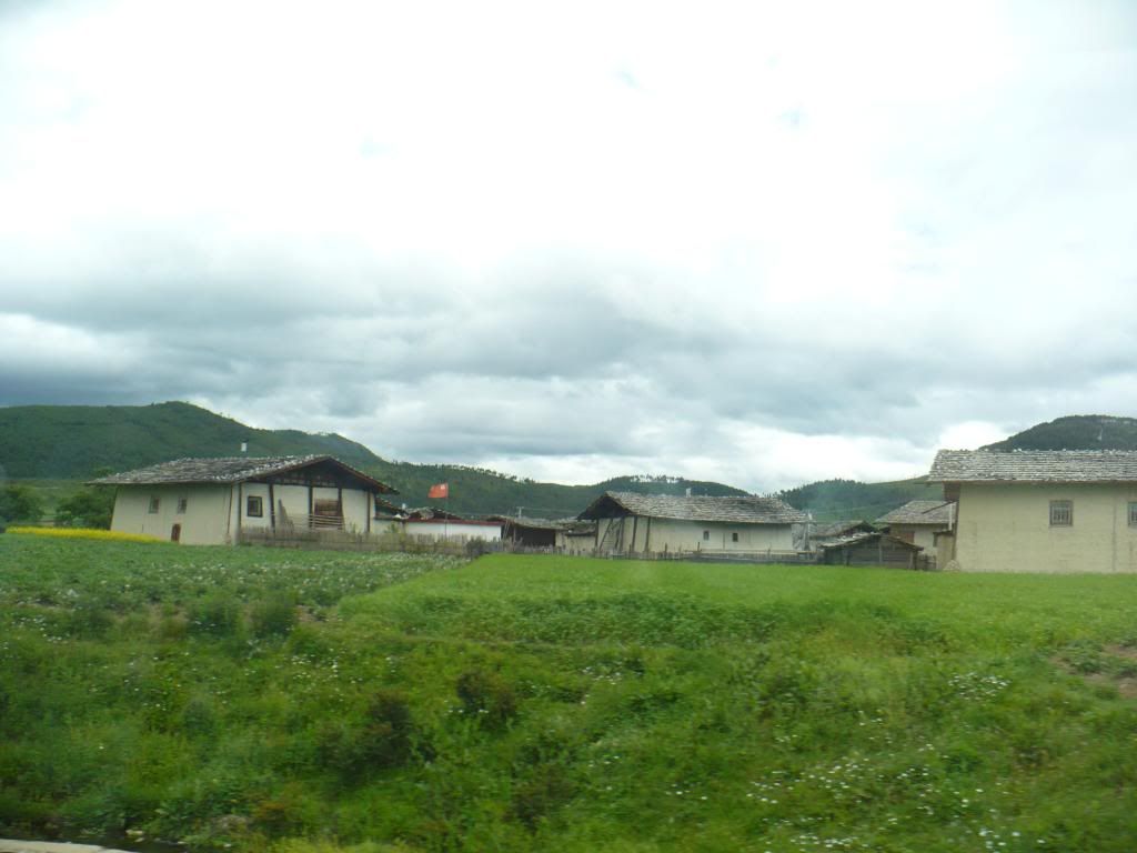 P1010167.jpg