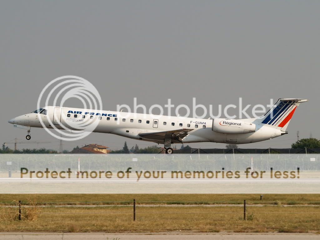 AM309675.jpg
