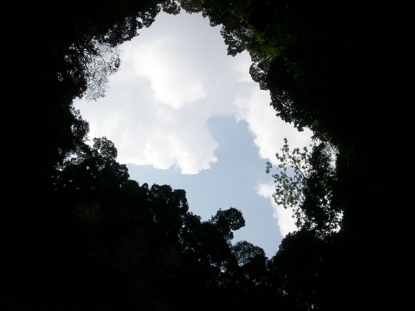 264.jpg
