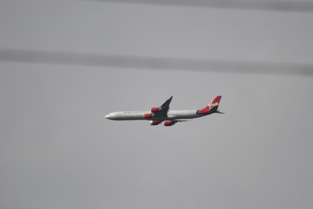 DSC_0106.jpg