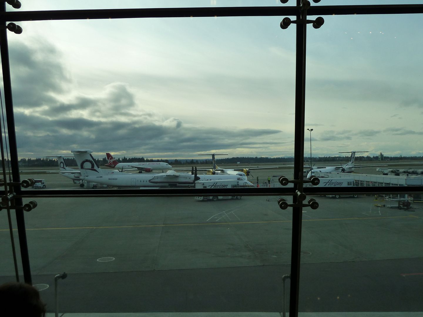 P1020061.jpg