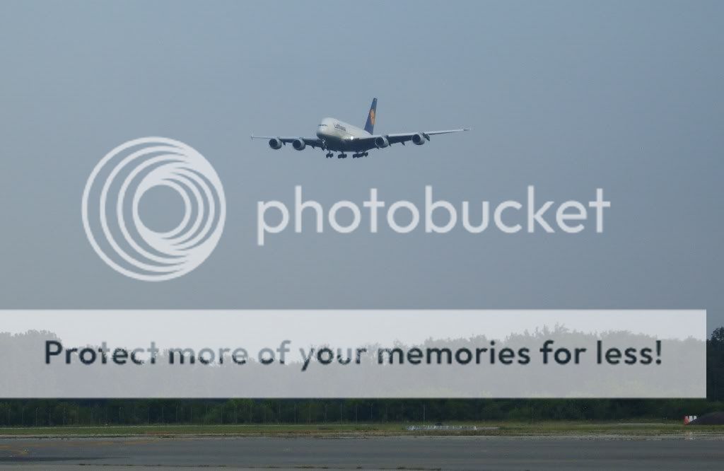 S8300013c.jpg