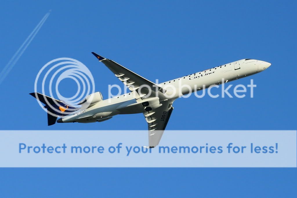 EI-DOTBlq0812a.jpg