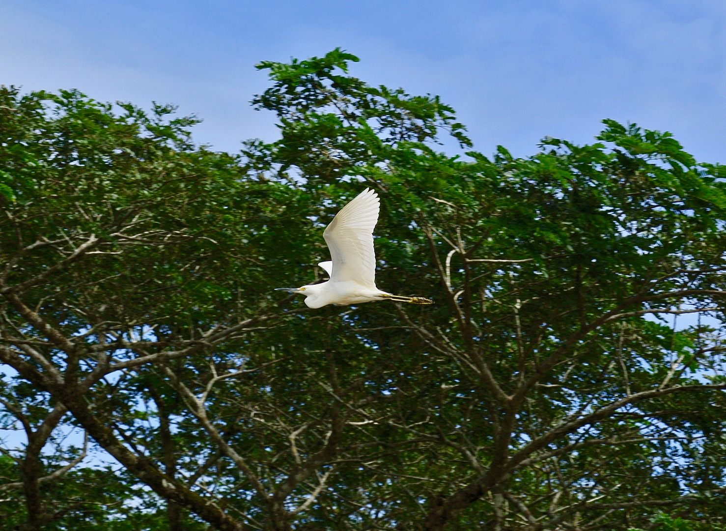 DSC_8406_zpsqhtcxaps.jpg