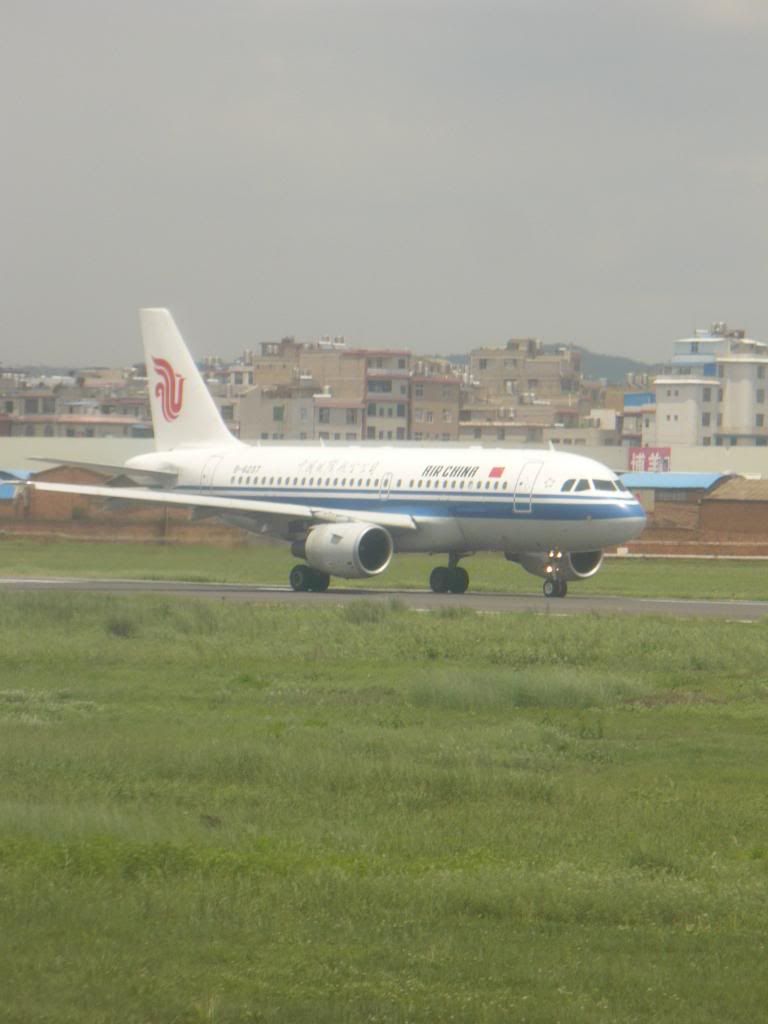 P1010446.jpg