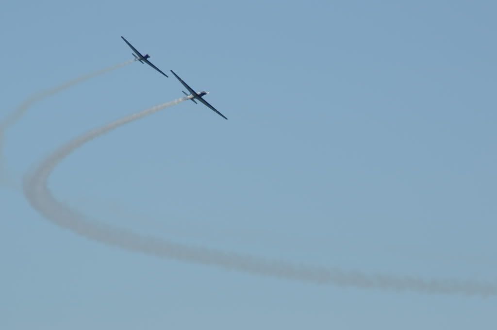 DSC_0499.jpg