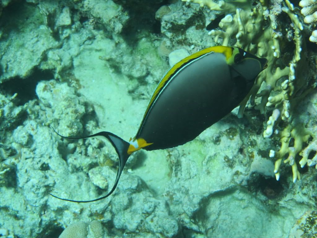 IMG_2133.jpg