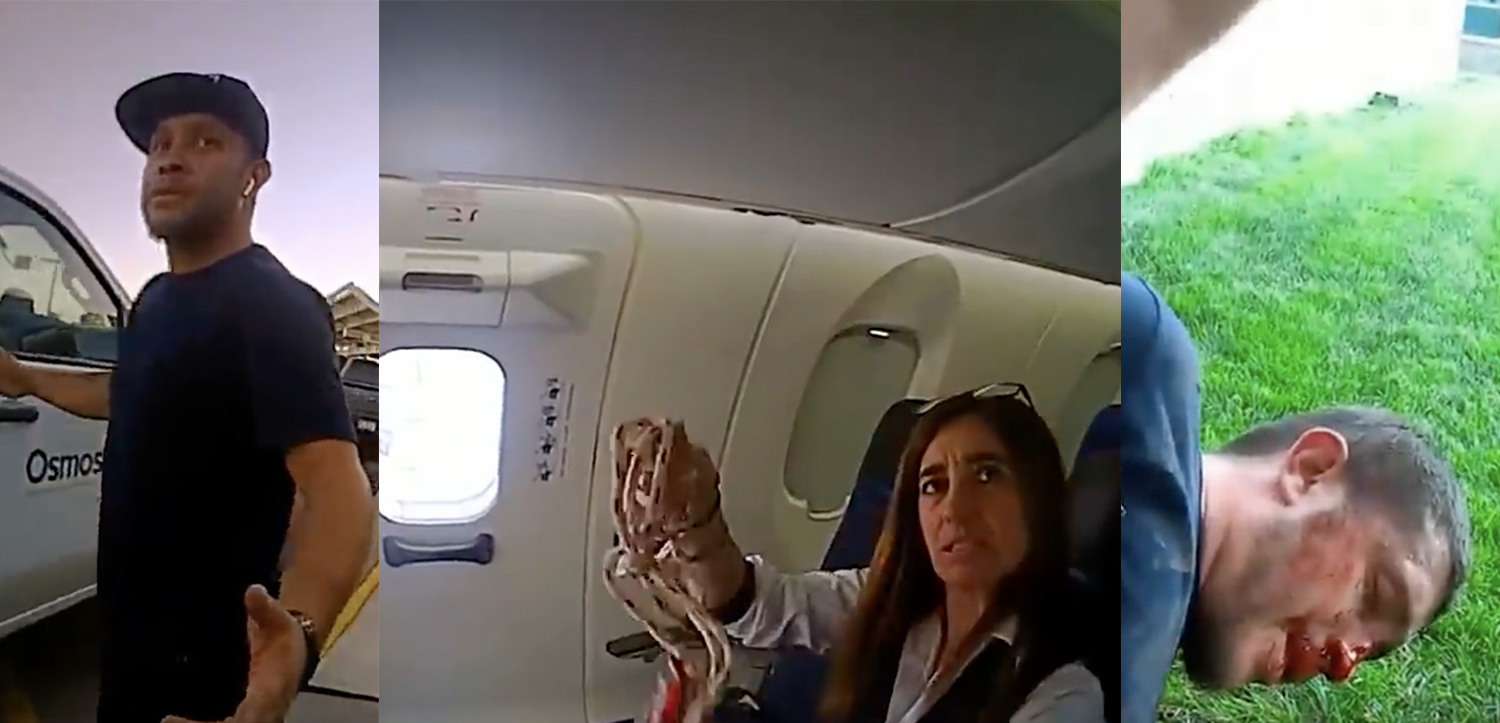 liveandletsfly.com