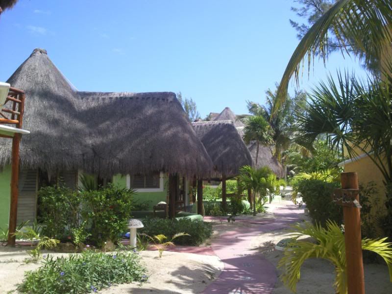 08032009003.jpg