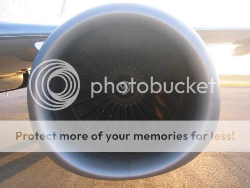 flight011.jpg