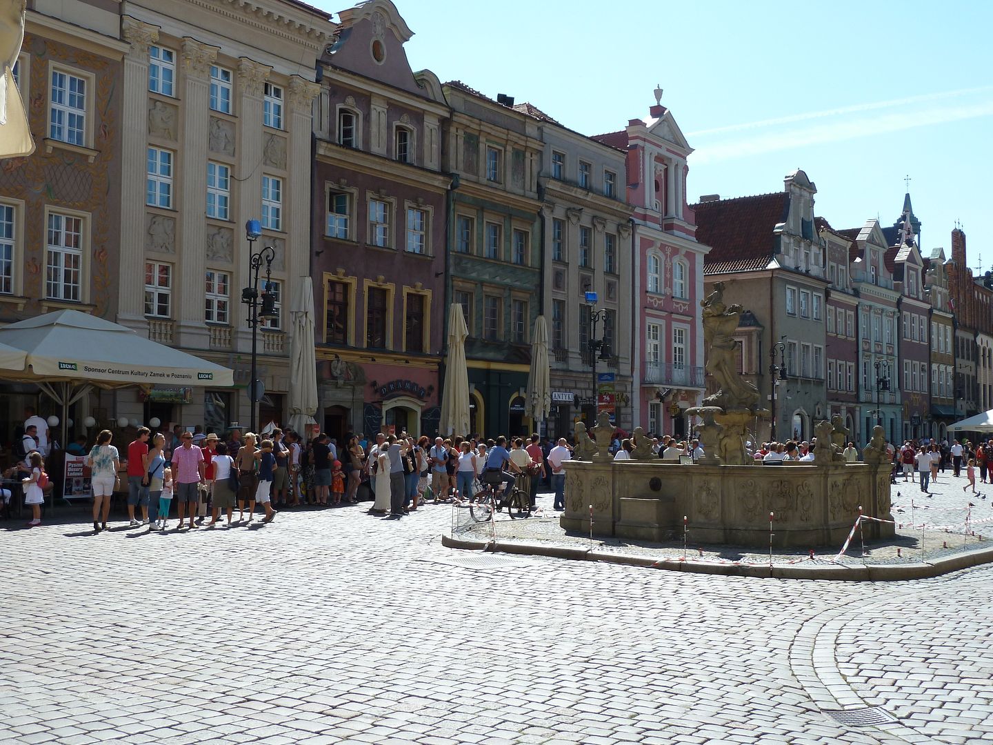P1030529.jpg
