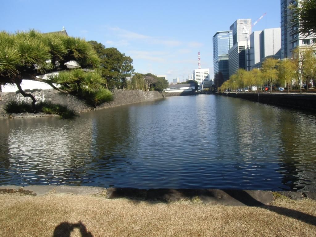 CIMG0950_zps7bc8162c.jpg