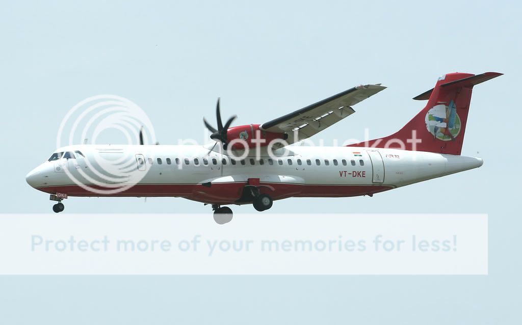 011-KINGFISHER-VT-DKE-ATR721.jpg