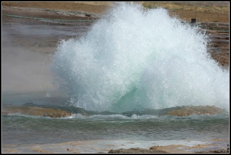 DSC_5588.jpg