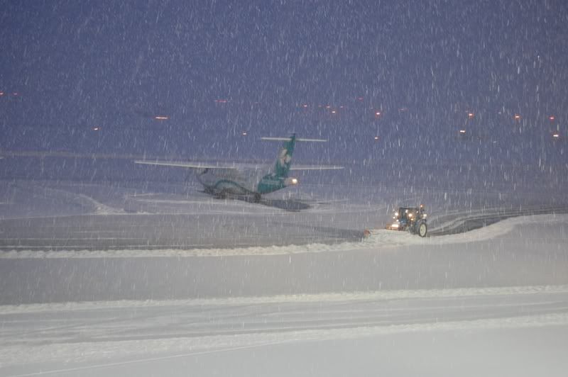 nevicatona3.jpg
