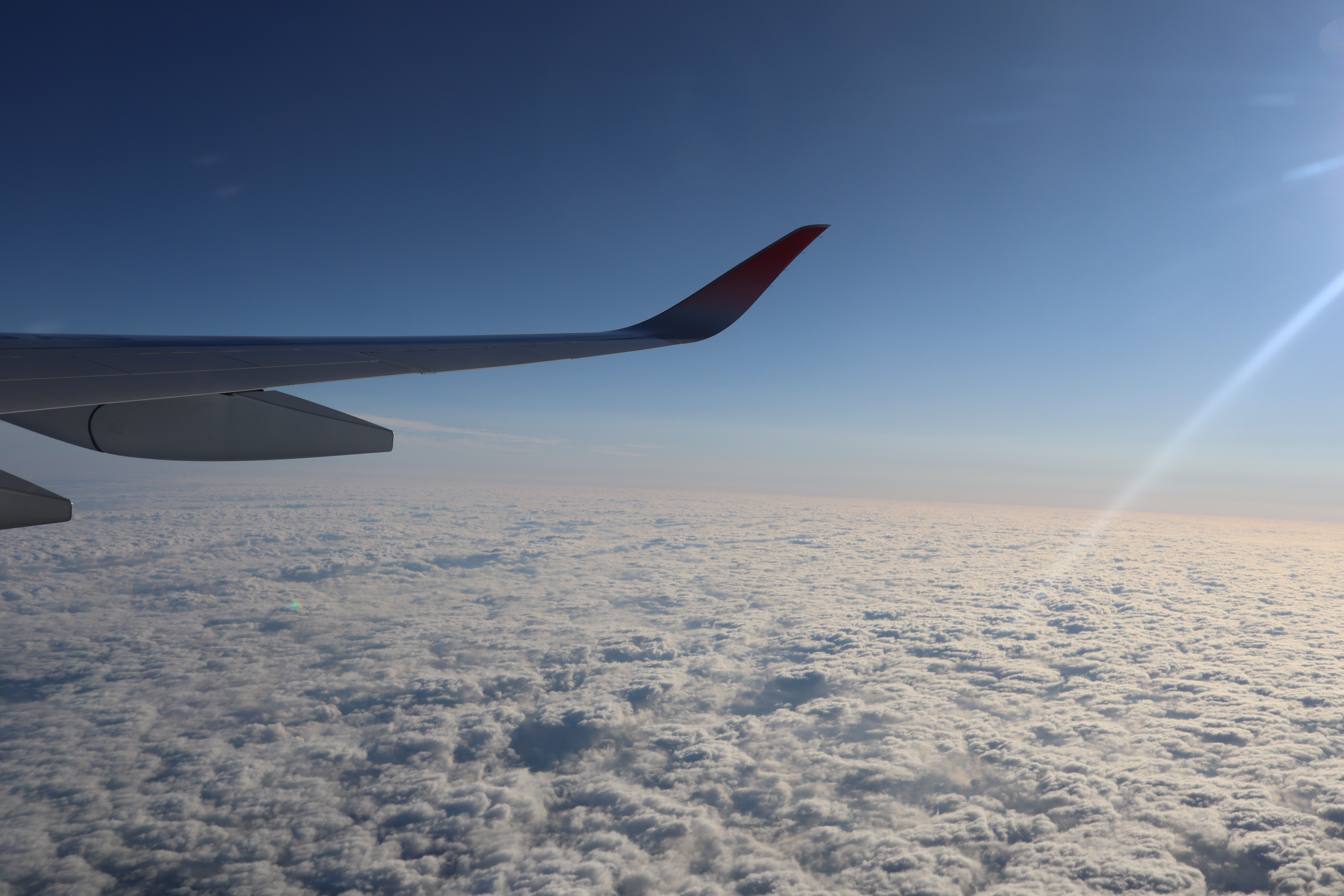 49527268306_826b0670c5_6k.jpg