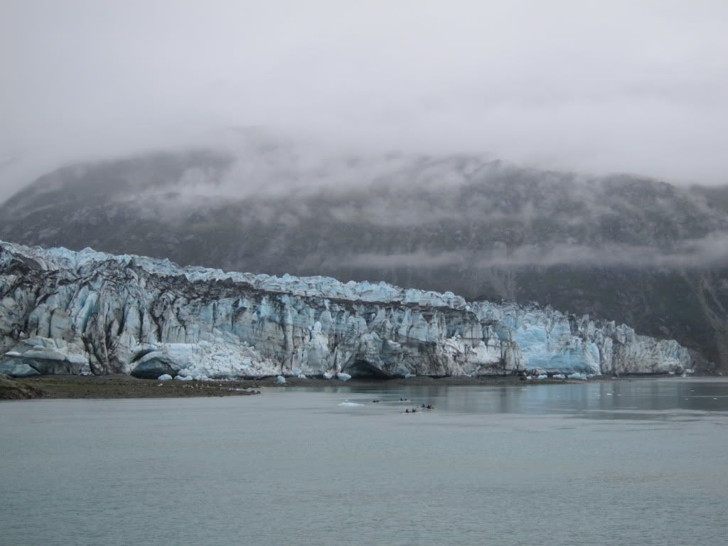 IMG_5337.jpg