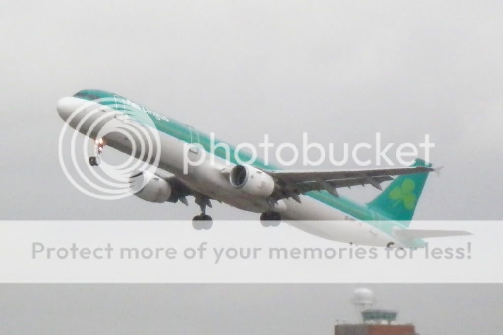 PA280219.jpg