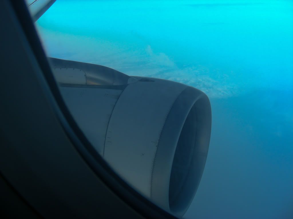 DSCN8277.jpg