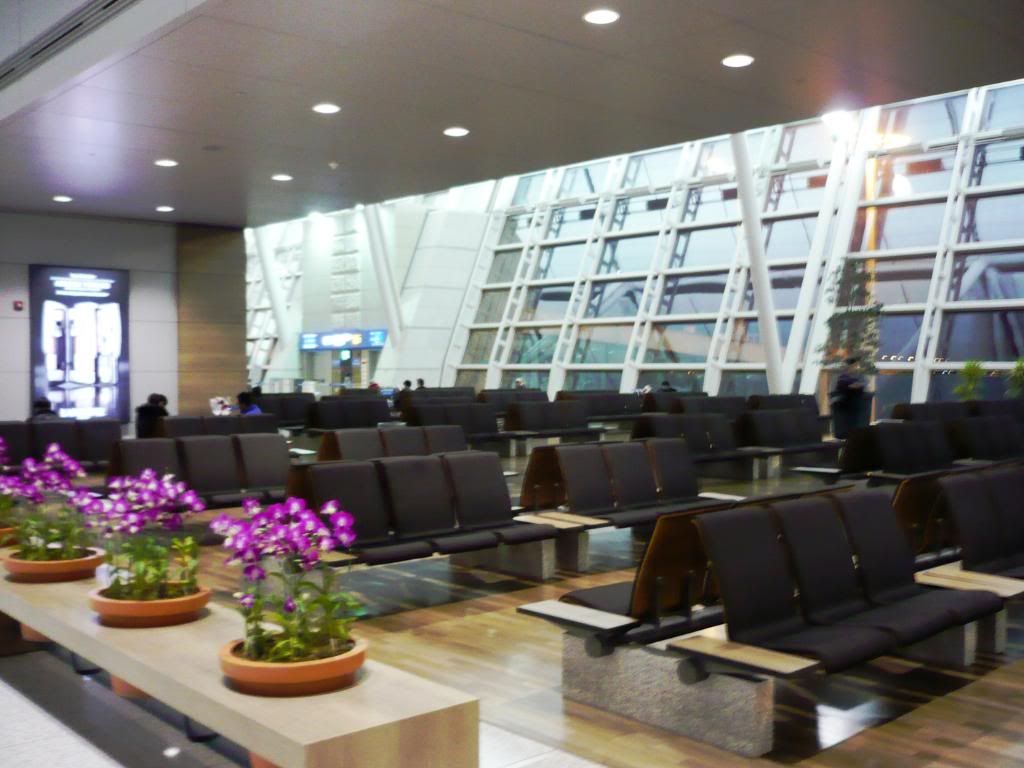 P1000107.jpg