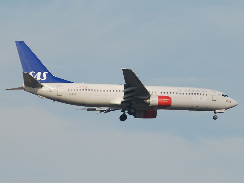 DSC_0137.jpg