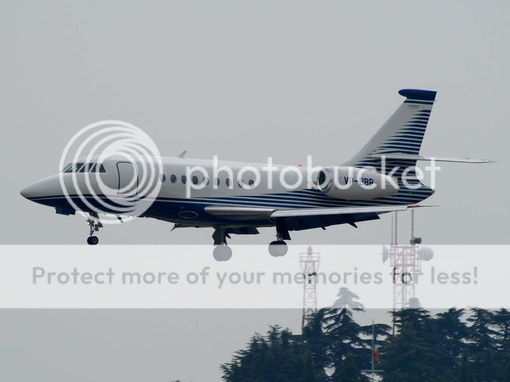 AM269255.jpg