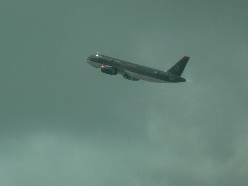 P1000185.jpg