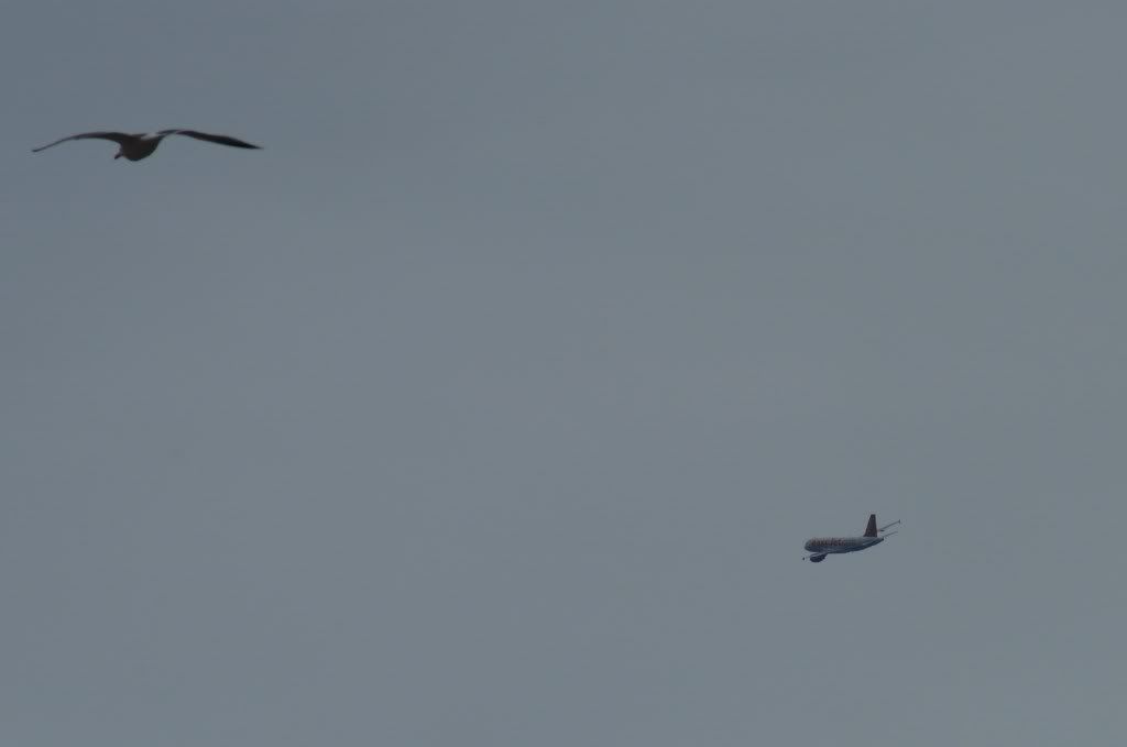 DSC_1280.jpg