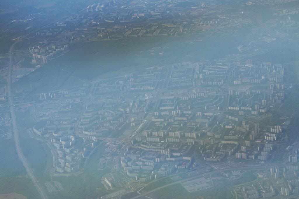 mosca58.jpg