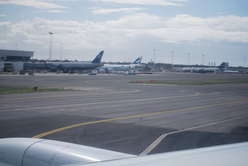DSC_7203.jpg