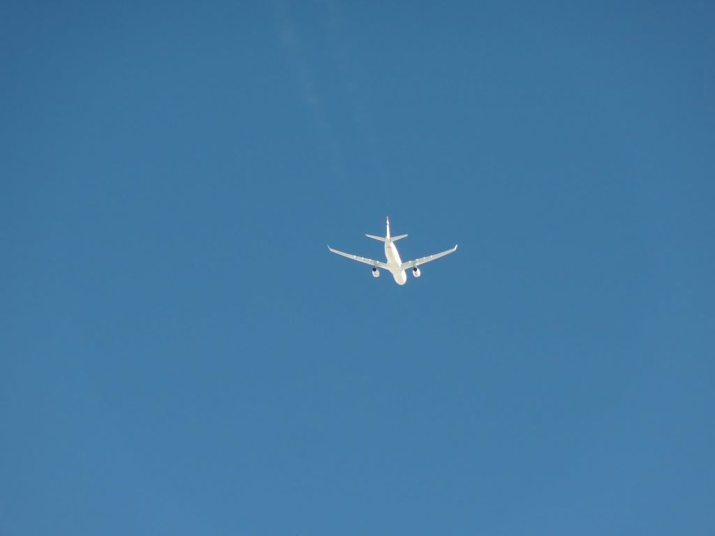 DSC00527.jpg