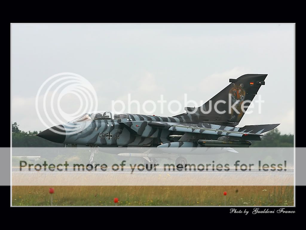 ELITE-03.jpg