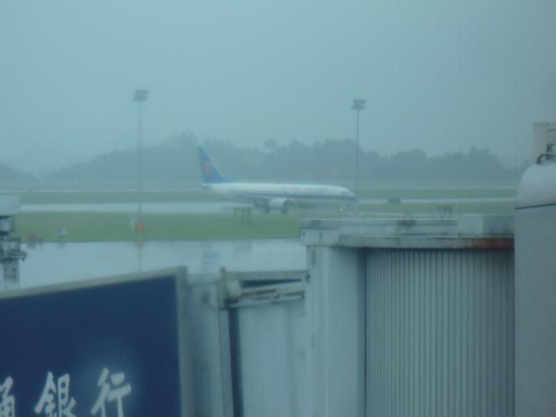 P1000899.jpg