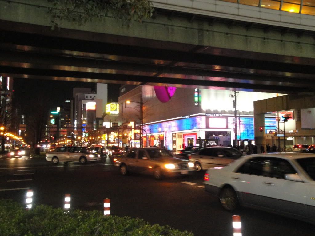 DSC01459.jpg