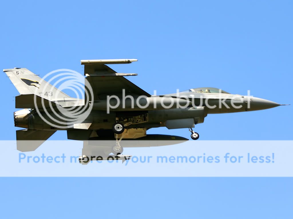 MM7243.jpg