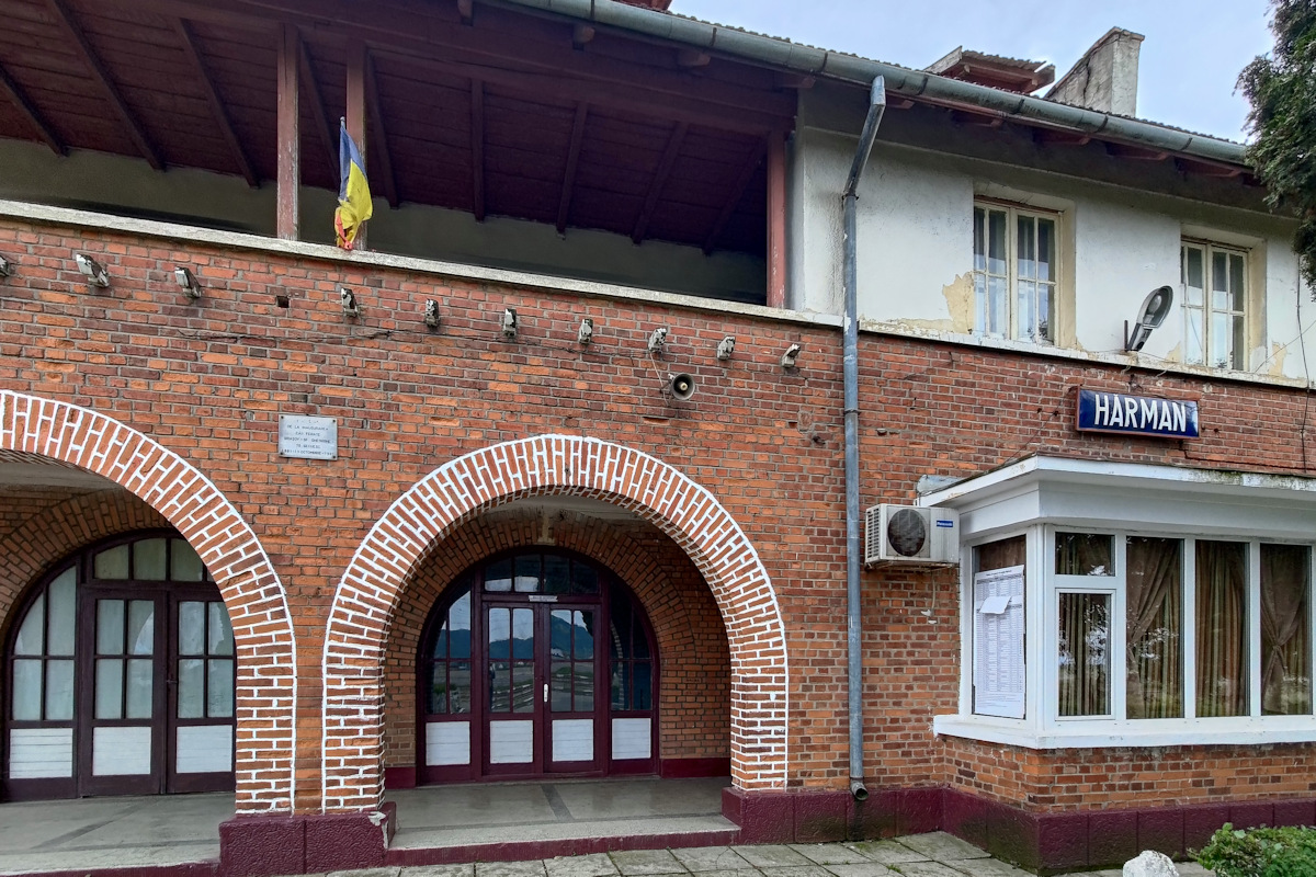 103.jpg