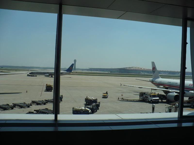 P1010963.jpg