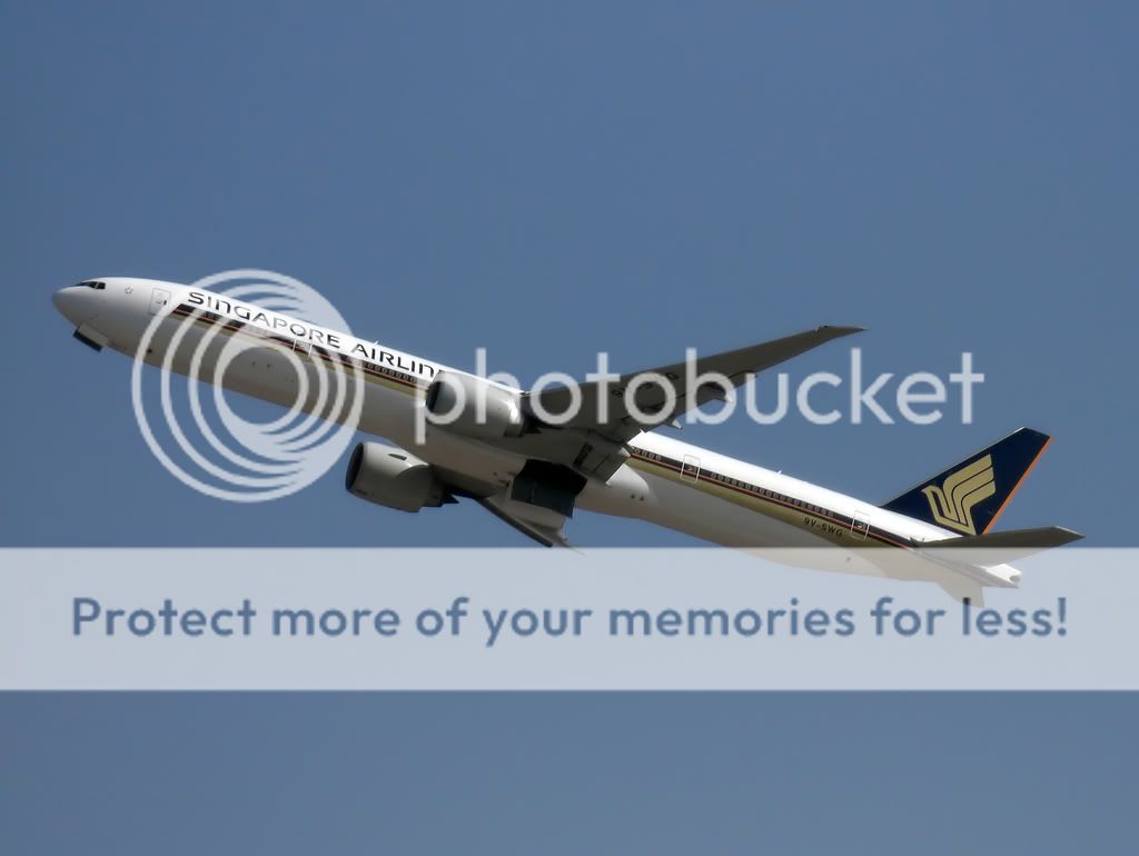 CIMG2713_4.jpg