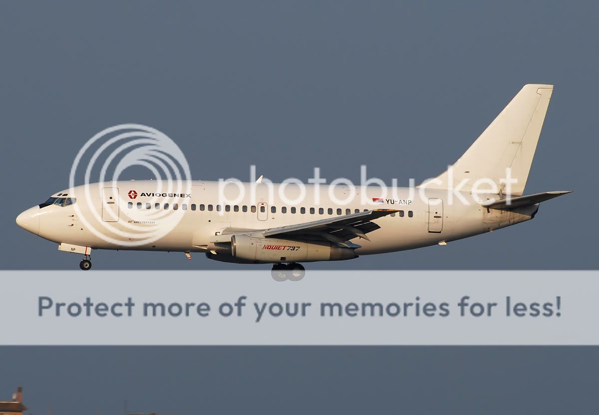 YU-ANP-1.jpg