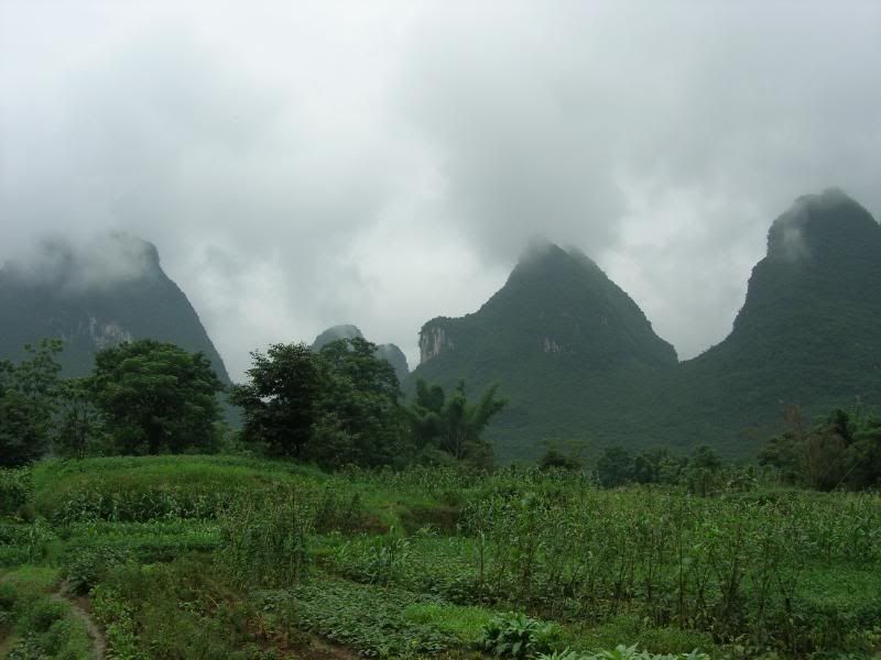 DSCN2044.jpg