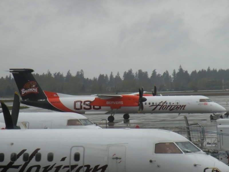 DSCN7978.jpg