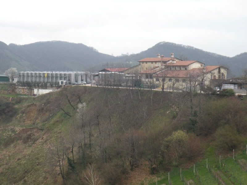 DSCN4501-Copy.jpg