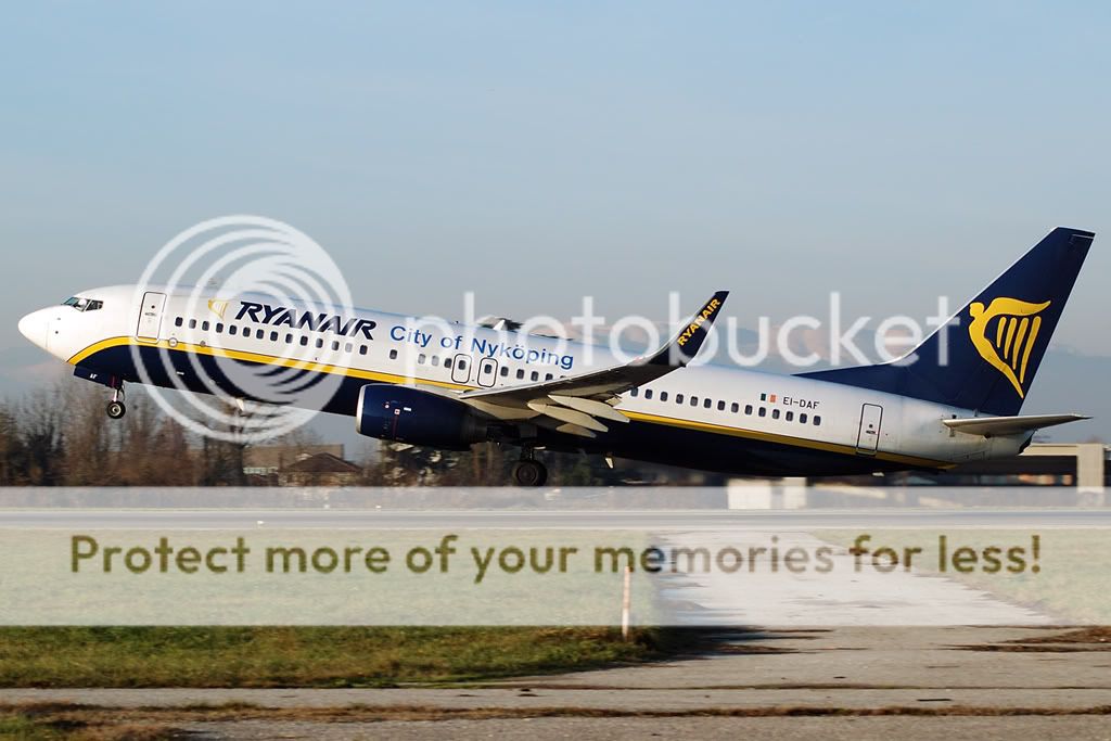 EI-DAF.jpg