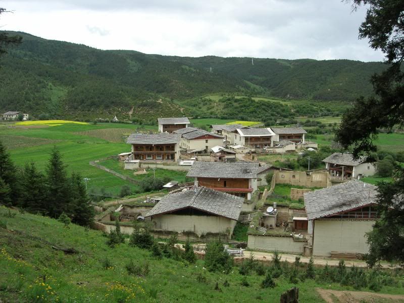 DSCN2253.jpg