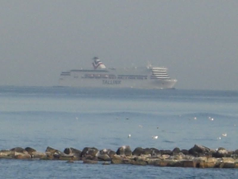 CIMG5756.jpg
