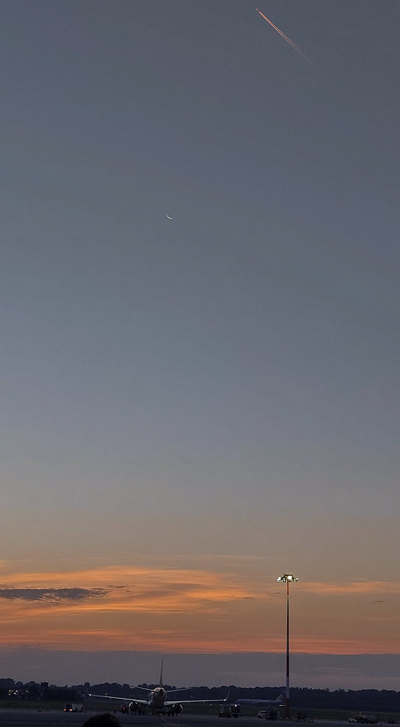55466310307_044472bf52_b.jpg