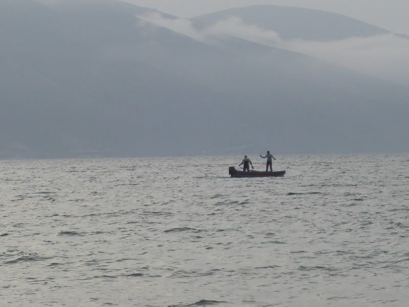 CIMG8145.jpg