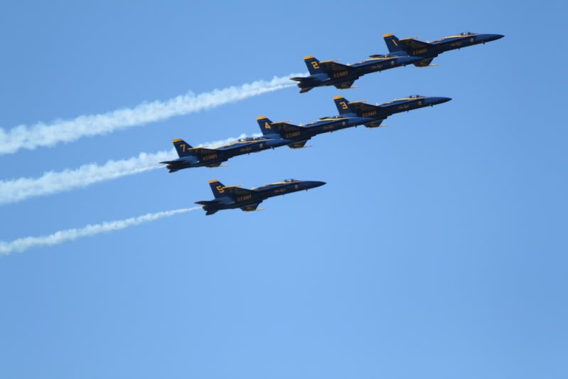 IMG_6946.jpg