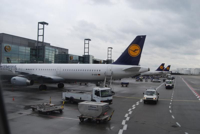 DSC_0019.jpg