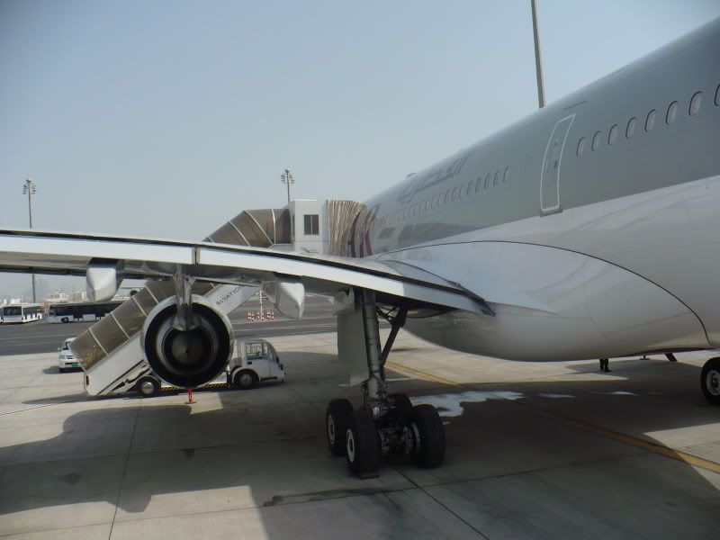 P1020159.jpg